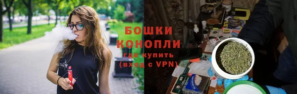 гашик Новокубанск