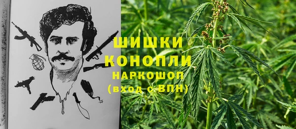 таблы Новозыбков