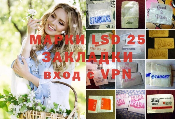 таблы Новозыбков