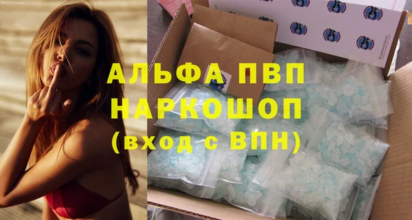 гашик Новокубанск