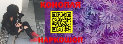 бошки Гай