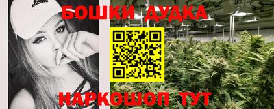 бошки Гай