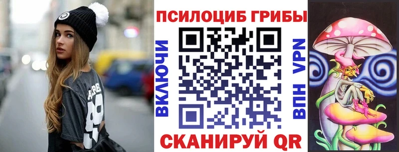 Псилоцибиновые грибы Psilocybe купить наркотики цена Каменка