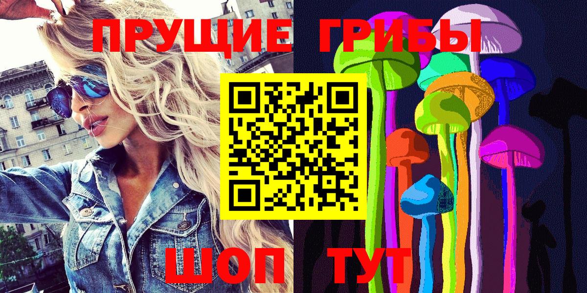 Каменка  Галлюциногенные грибы Cubensis  Вход с VPN  Псилоцибиновые грибы прущие грибы 